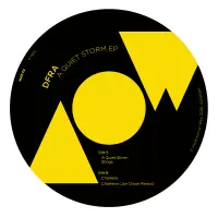 Record cover of A QUIET STORM EP (INCL. JON DI by DFRA