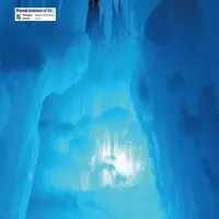 Record cover of WHEN WE FROZE  by Ignez