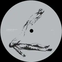 Record cover of INDIRECT TECHNIQUES  by Vibrations of Gravity