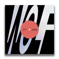 Record cover of ORBITAL CONSTRUCTS by DJ Alone Again 