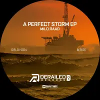 Record cover of A PERFECT STORM EP  by Milo Raad