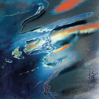 Record cover of INTERLOCKING  by Shoal