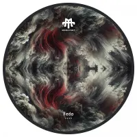 Record cover of NUKE HOOK EP (180 GRAMS)  by Fedo