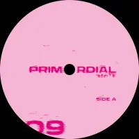 Record cover of REIKON CORE EP  by Scheermann