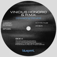 Record cover of DIMINISHING RETURNS EP  by Vinicius Honorio & R.M.K