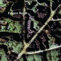 Record cover of VAALBARA (PRINTED SLEEVE)  by Franco Rossi