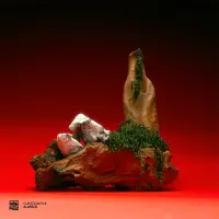 Record cover of CURATION FIVE: ALARICO  by Various Artists