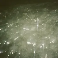 Record cover of SIRENE  by Ben Kaczor