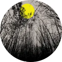 Record cover of STILL THINKING EP (PINK VINYL) by Mod21 & Toki Fuko