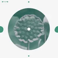 Record cover of BEAT OF BLADES  by Matthias