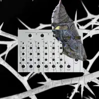 Record cover of 1RO005 - VA  by V /A