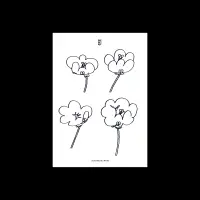 Record cover of POPPIES  by Lawrence