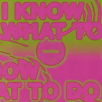 Record cover of I KNOW WHAT TO DO (PRINTED SLE by Ackermann