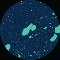 Record cover of EQUALS  by Connor Wall