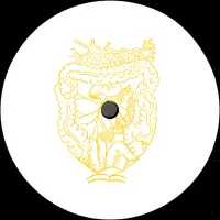 Record cover of GASTRIC PULSE  by Scam Dust