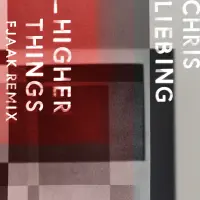 Record cover of HIGHER THINGS (FJAAK REMIX)  by Chris Liebing