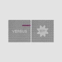 Record cover of VERSUS 003  by Kameliia vs. BLANKA