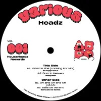 Record cover of VARIOUS HEADZ VOL.001  by Giuseppe Fava, Domgreek, V.I.C
