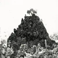 Record cover of WINTERSWELL  by Kat Davids