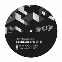 Record cover of STEREO:TYPE EP 9  by Risk Assessment