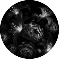 Record cover of ORIGINI  by Pyramidal Decode