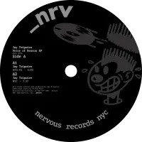 Record cover of VOICE OF REASON EP  by Jay Tripwire