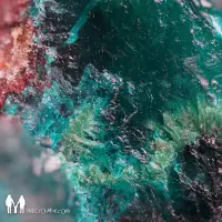 Record cover of HIGH OCTANE (PRINTED SLEEVE)  by Tensal