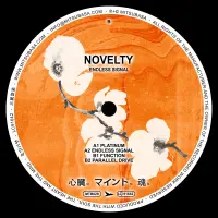 Record cover of ENDLESS SIGNAL EP  by Novelty
