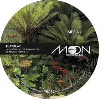 Record cover of MYSTERY OF THE BELLY BUTTON EP by Flatplay