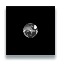 Record cover of ARE U OK by Salt Queen 
