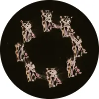 Record cover of PLAYBOOK001  by Various Artists